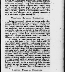 Jana Svatopluka Presla W&scaron;eobecn&yacute; rostlinopis, čili: pops&aacute;n&iacute; rostlin ....(1846) document 623240
