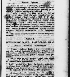 Jana Svatopluka Presla W&scaron;eobecn&yacute; rostlinopis, čili: pops&aacute;n&iacute; rostlin ....(1846) document 623248