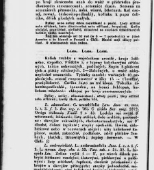 Jana Svatopluka Presla W&scaron;eobecn&yacute; rostlinopis, čili: pops&aacute;n&iacute; rostlin ....(1846) document 623259