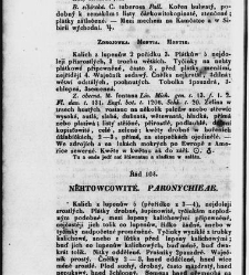 Jana Svatopluka Presla W&scaron;eobecn&yacute; rostlinopis, čili: pops&aacute;n&iacute; rostlin ....(1846) document 623267