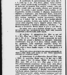Jana Svatopluka Presla W&scaron;eobecn&yacute; rostlinopis, čili: pops&aacute;n&iacute; rostlin ....(1846) document 623297