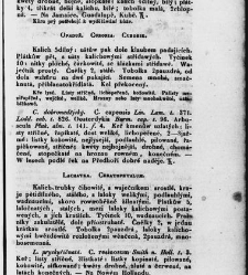 Jana Svatopluka Presla W&scaron;eobecn&yacute; rostlinopis, čili: pops&aacute;n&iacute; rostlin ....(1846) document 623306