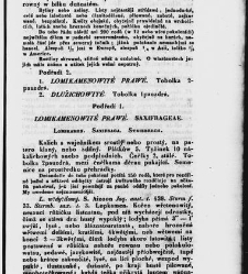 Jana Svatopluka Presla W&scaron;eobecn&yacute; rostlinopis, čili: pops&aacute;n&iacute; rostlin ....(1846) document 623310