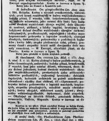 Jana Svatopluka Presla W&scaron;eobecn&yacute; rostlinopis, čili: pops&aacute;n&iacute; rostlin ....(1846) document 623340