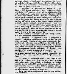 Jana Svatopluka Presla W&scaron;eobecn&yacute; rostlinopis, čili: pops&aacute;n&iacute; rostlin ....(1846) document 623365