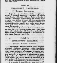 Jana Svatopluka Presla W&scaron;eobecn&yacute; rostlinopis, čili: pops&aacute;n&iacute; rostlin ....(1846) document 623368