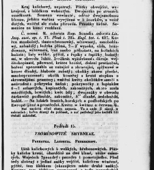 Jana Svatopluka Presla W&scaron;eobecn&yacute; rostlinopis, čili: pops&aacute;n&iacute; rostlin ....(1846) document 623374