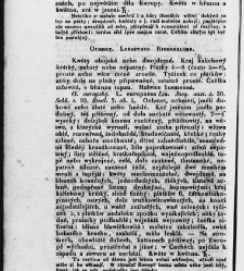 Jana Svatopluka Presla W&scaron;eobecn&yacute; rostlinopis, čili: pops&aacute;n&iacute; rostlin ....(1846) document 623395