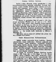 Jana Svatopluka Presla W&scaron;eobecn&yacute; rostlinopis, čili: pops&aacute;n&iacute; rostlin ....(1846) document 623415