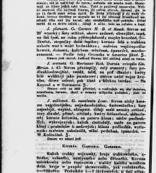 Jana Svatopluka Presla W&scaron;eobecn&yacute; rostlinopis, čili: pops&aacute;n&iacute; rostlin ....(1846) document 623423