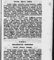 Jana Svatopluka Presla W&scaron;eobecn&yacute; rostlinopis, čili: pops&aacute;n&iacute; rostlin ....(1846) document 623432