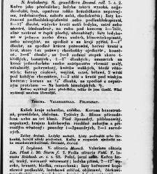 Jana Svatopluka Presla W&scaron;eobecn&yacute; rostlinopis, čili: pops&aacute;n&iacute; rostlin ....(1846) document 623460
