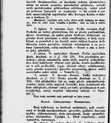 Jana Svatopluka Presla W&scaron;eobecn&yacute; rostlinopis, čili: pops&aacute;n&iacute; rostlin ....(1846) document 623461