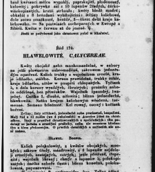 Jana Svatopluka Presla W&scaron;eobecn&yacute; rostlinopis, čili: pops&aacute;n&iacute; rostlin ....(1846) document 623468