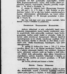 Jana Svatopluka Presla W&scaron;eobecn&yacute; rostlinopis, čili: pops&aacute;n&iacute; rostlin ....(1846) document 623485