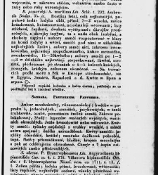 Jana Svatopluka Presla W&scaron;eobecn&yacute; rostlinopis, čili: pops&aacute;n&iacute; rostlin ....(1846) document 623496