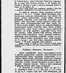 Jana Svatopluka Presla W&scaron;eobecn&yacute; rostlinopis, čili: pops&aacute;n&iacute; rostlin ....(1846) document 623501