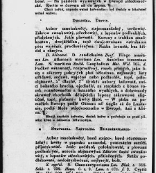 Jana Svatopluka Presla W&scaron;eobecn&yacute; rostlinopis, čili: pops&aacute;n&iacute; rostlin ....(1846) document 623513