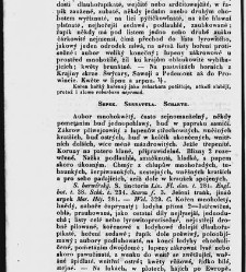 Jana Svatopluka Presla W&scaron;eobecn&yacute; rostlinopis, čili: pops&aacute;n&iacute; rostlin ....(1846) document 623555