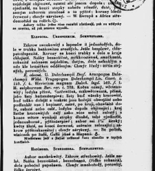 Jana Svatopluka Presla W&scaron;eobecn&yacute; rostlinopis, čili: pops&aacute;n&iacute; rostlin ....(1846) document 623566