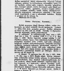 Jana Svatopluka Presla W&scaron;eobecn&yacute; rostlinopis, čili: pops&aacute;n&iacute; rostlin ....(1846) document 623585