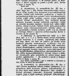 Jana Svatopluka Presla W&scaron;eobecn&yacute; rostlinopis, čili: pops&aacute;n&iacute; rostlin ....(1846) document 623589