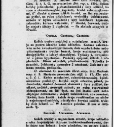 Jana Svatopluka Presla W&scaron;eobecn&yacute; rostlinopis, čili: pops&aacute;n&iacute; rostlin ....(1846) document 623593
