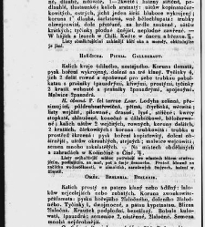 Jana Svatopluka Presla W&scaron;eobecn&yacute; rostlinopis, čili: pops&aacute;n&iacute; rostlin ....(1846) document 623595