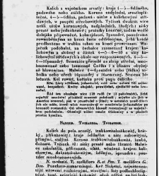 Jana Svatopluka Presla W&scaron;eobecn&yacute; rostlinopis, čili: pops&aacute;n&iacute; rostlin ....(1846) document 623597