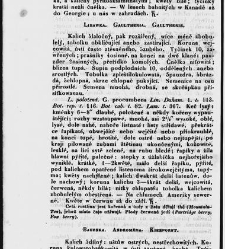 Jana Svatopluka Presla W&scaron;eobecn&yacute; rostlinopis, čili: pops&aacute;n&iacute; rostlin ....(1846) document 623605