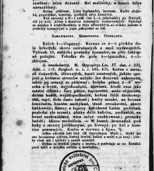 Jana Svatopluka Presla W&scaron;eobecn&yacute; rostlinopis, čili: pops&aacute;n&iacute; rostlin ....(1846) document 623621