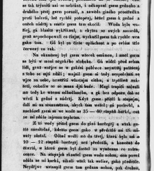 Dennice : spis zábawný a ponaučný. Djl prwnj / od J.B. Malého(1840) document 629524