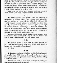 Práva městská Království Českého a Markrabství Moravského spolu s krátkou jich summou /(1876) document 642436