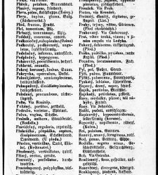 Rostlinnictv&iacute;, čili N&aacute;vod k snadn&eacute;mu určen&iacute; a pojmenov&aacute;n&iacute; rostlin v Čech&aacute;ch, Moravě a jin&yacute;ch zem&iacute;ch Rakousk&eacute;ho mocn&aacute;řstv&iacute; dom&aacute;c&iacute;ch / sepsal Daniel Sloboda / Sloboda, Daniel (1852) document 648453