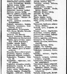 Rostlinnictv&iacute;, čili N&aacute;vod k snadn&eacute;mu určen&iacute; a pojmenov&aacute;n&iacute; rostlin v Čech&aacute;ch, Moravě a jin&yacute;ch zem&iacute;ch Rakousk&eacute;ho mocn&aacute;řstv&iacute; dom&aacute;c&iacute;ch / sepsal Daniel Sloboda / Sloboda, Daniel (1852) document 648455