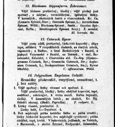 Rostlinnictv&iacute;, čili N&aacute;vod k snadn&eacute;mu určen&iacute; a pojmenov&aacute;n&iacute; rostlin v Čech&aacute;ch, Moravě a jin&yacute;ch zem&iacute;ch Rakousk&eacute;ho mocn&aacute;řstv&iacute; dom&aacute;c&iacute;ch / sepsal Daniel Sloboda / Sloboda, Daniel (1852) document 648547