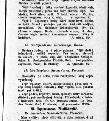 Rostlinnictv&iacute;, čili N&aacute;vod k snadn&eacute;mu určen&iacute; a pojmenov&aacute;n&iacute; rostlin v Čech&aacute;ch, Moravě a jin&yacute;ch zem&iacute;ch Rakousk&eacute;ho mocn&aacute;řstv&iacute; dom&aacute;c&iacute;ch / sepsal Daniel Sloboda / Sloboda, Daniel (1852) document 648549