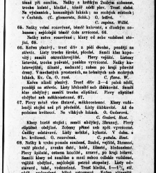 Rostlinnictv&iacute;, čili N&aacute;vod k snadn&eacute;mu určen&iacute; a pojmenov&aacute;n&iacute; rostlin v Čech&aacute;ch, Moravě a jin&yacute;ch zem&iacute;ch Rakousk&eacute;ho mocn&aacute;řstv&iacute; dom&aacute;c&iacute;ch / sepsal Daniel Sloboda / Sloboda, Daniel (1852) document 648567