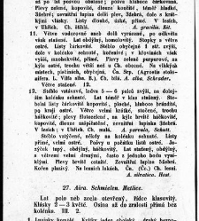 Rostlinnictv&iacute;, čili N&aacute;vod k snadn&eacute;mu určen&iacute; a pojmenov&aacute;n&iacute; rostlin v Čech&aacute;ch, Moravě a jin&yacute;ch zem&iacute;ch Rakousk&eacute;ho mocn&aacute;řstv&iacute; dom&aacute;c&iacute;ch / sepsal Daniel Sloboda / Sloboda, Daniel (1852) document 648584