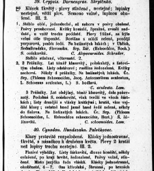 Rostlinnictv&iacute;, čili N&aacute;vod k snadn&eacute;mu určen&iacute; a pojmenov&aacute;n&iacute; rostlin v Čech&aacute;ch, Moravě a jin&yacute;ch zem&iacute;ch Rakousk&eacute;ho mocn&aacute;řstv&iacute; dom&aacute;c&iacute;ch / sepsal Daniel Sloboda / Sloboda, Daniel (1852) document 648603