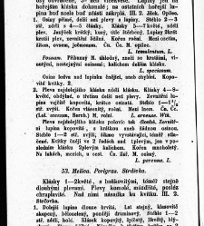 Rostlinnictv&iacute;, čili N&aacute;vod k snadn&eacute;mu určen&iacute; a pojmenov&aacute;n&iacute; rostlin v Čech&aacute;ch, Moravě a jin&yacute;ch zem&iacute;ch Rakousk&eacute;ho mocn&aacute;řstv&iacute; dom&aacute;c&iacute;ch / sepsal Daniel Sloboda / Sloboda, Daniel (1852) document 648616