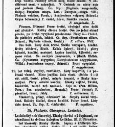 Rostlinnictv&iacute;, čili N&aacute;vod k snadn&eacute;mu určen&iacute; a pojmenov&aacute;n&iacute; rostlin v Čech&aacute;ch, Moravě a jin&yacute;ch zem&iacute;ch Rakousk&eacute;ho mocn&aacute;řstv&iacute; dom&aacute;c&iacute;ch / sepsal Daniel Sloboda / Sloboda, Daniel (1852) document 648621