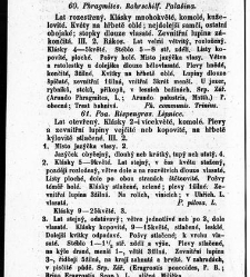 Rostlinnictv&iacute;, čili N&aacute;vod k snadn&eacute;mu určen&iacute; a pojmenov&aacute;n&iacute; rostlin v Čech&aacute;ch, Moravě a jin&yacute;ch zem&iacute;ch Rakousk&eacute;ho mocn&aacute;řstv&iacute; dom&aacute;c&iacute;ch / sepsal Daniel Sloboda / Sloboda, Daniel (1852) document 648624