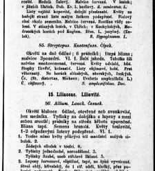 Rostlinnictv&iacute;, čili N&aacute;vod k snadn&eacute;mu určen&iacute; a pojmenov&aacute;n&iacute; rostlin v Čech&aacute;ch, Moravě a jin&yacute;ch zem&iacute;ch Rakousk&eacute;ho mocn&aacute;řstv&iacute; dom&aacute;c&iacute;ch / sepsal Daniel Sloboda / Sloboda, Daniel (1852) document 648649