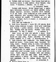 Rostlinnictv&iacute;, čili N&aacute;vod k snadn&eacute;mu určen&iacute; a pojmenov&aacute;n&iacute; rostlin v Čech&aacute;ch, Moravě a jin&yacute;ch zem&iacute;ch Rakousk&eacute;ho mocn&aacute;řstv&iacute; dom&aacute;c&iacute;ch / sepsal Daniel Sloboda / Sloboda, Daniel (1852) document 648650
