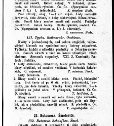 Rostlinnictv&iacute;, čili N&aacute;vod k snadn&eacute;mu určen&iacute; a pojmenov&aacute;n&iacute; rostlin v Čech&aacute;ch, Moravě a jin&yacute;ch zem&iacute;ch Rakousk&eacute;ho mocn&aacute;řstv&iacute; dom&aacute;c&iacute;ch / sepsal Daniel Sloboda / Sloboda, Daniel (1852) document 648681