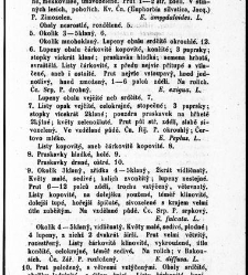 Rostlinnictv&iacute;, čili N&aacute;vod k snadn&eacute;mu určen&iacute; a pojmenov&aacute;n&iacute; rostlin v Čech&aacute;ch, Moravě a jin&yacute;ch zem&iacute;ch Rakousk&eacute;ho mocn&aacute;řstv&iacute; dom&aacute;c&iacute;ch / sepsal Daniel Sloboda / Sloboda, Daniel (1852) document 648715