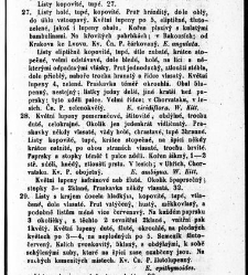 Rostlinnictv&iacute;, čili N&aacute;vod k snadn&eacute;mu určen&iacute; a pojmenov&aacute;n&iacute; rostlin v Čech&aacute;ch, Moravě a jin&yacute;ch zem&iacute;ch Rakousk&eacute;ho mocn&aacute;řstv&iacute; dom&aacute;c&iacute;ch / sepsal Daniel Sloboda / Sloboda, Daniel (1852) document 648719