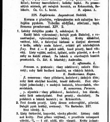 Rostlinnictv&iacute;, čili N&aacute;vod k snadn&eacute;mu určen&iacute; a pojmenov&aacute;n&iacute; rostlin v Čech&aacute;ch, Moravě a jin&yacute;ch zem&iacute;ch Rakousk&eacute;ho mocn&aacute;řstv&iacute; dom&aacute;c&iacute;ch / sepsal Daniel Sloboda / Sloboda, Daniel (1852) document 648762