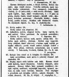 Rostlinnictv&iacute;, čili N&aacute;vod k snadn&eacute;mu určen&iacute; a pojmenov&aacute;n&iacute; rostlin v Čech&aacute;ch, Moravě a jin&yacute;ch zem&iacute;ch Rakousk&eacute;ho mocn&aacute;řstv&iacute; dom&aacute;c&iacute;ch / sepsal Daniel Sloboda / Sloboda, Daniel (1852) document 648775